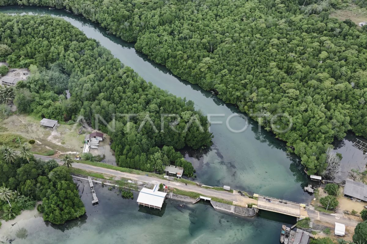 Desa-desa di Bintan kembangkan usaha pariwisata hingga pertanian