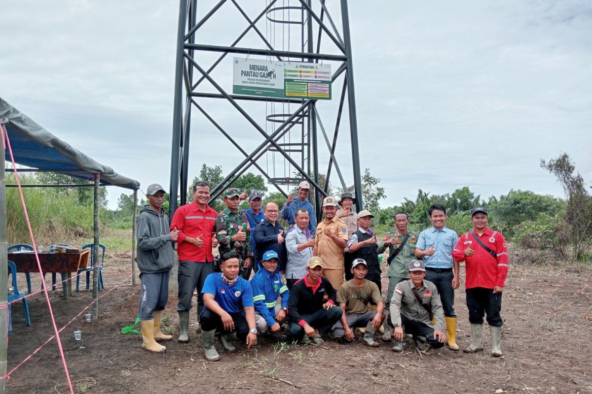 Belantara Foundation dirikan menara pantau gajah liar di OKI