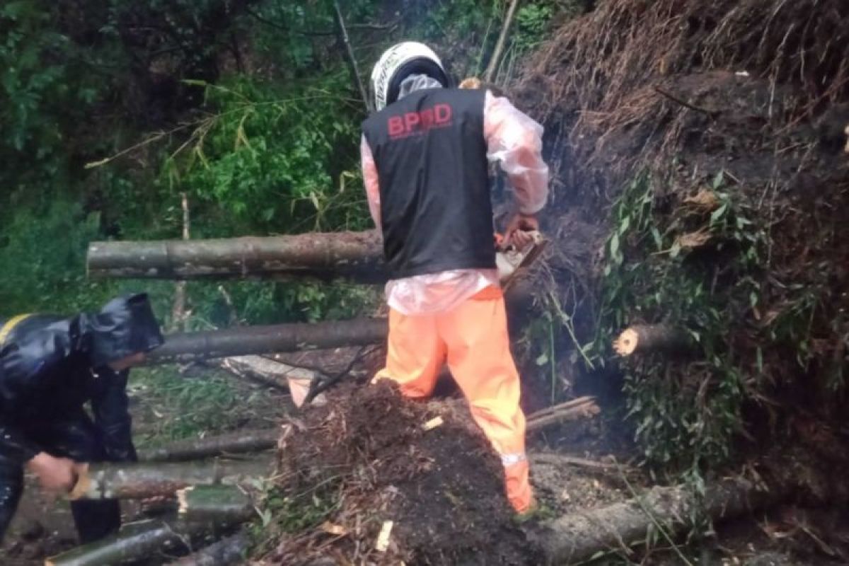 BPBD bersihkan material longsor yang tutup jalur penghubung Malang-Kediri