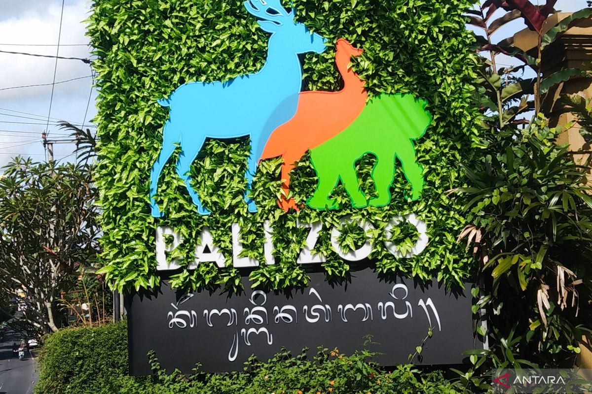 Pengunjung Bali Zoo melonjak 100 persen saat libur Isra Miraj-Imlek 