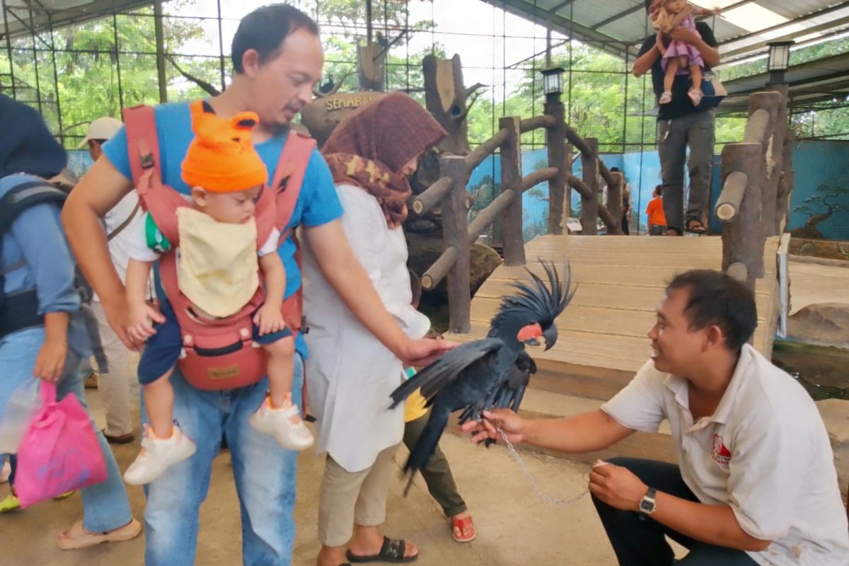 Libur panjang, Semarang Zoo dikunjungi 5.411 wisatawan