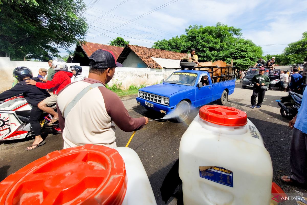 Ternak sapi dari luar daerah dilarang masuk pasar hewan di Situbondo