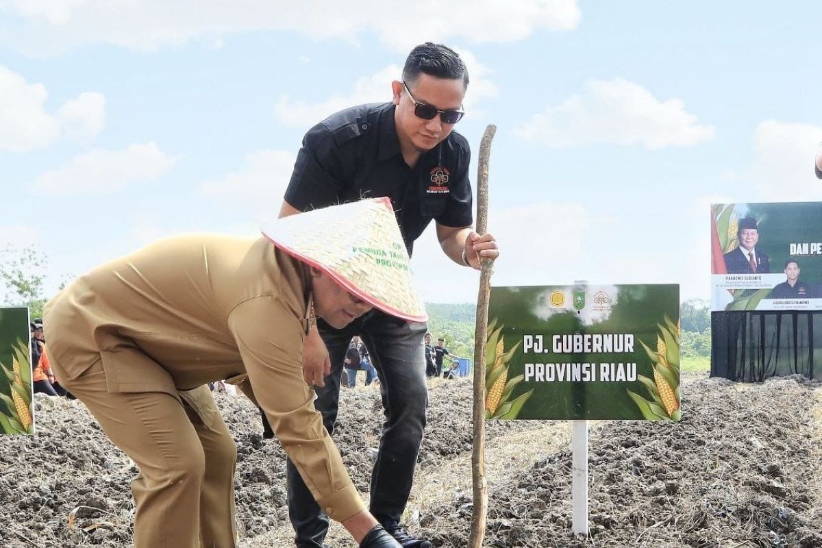 Riau dorong peningkatan produksi beras lokal