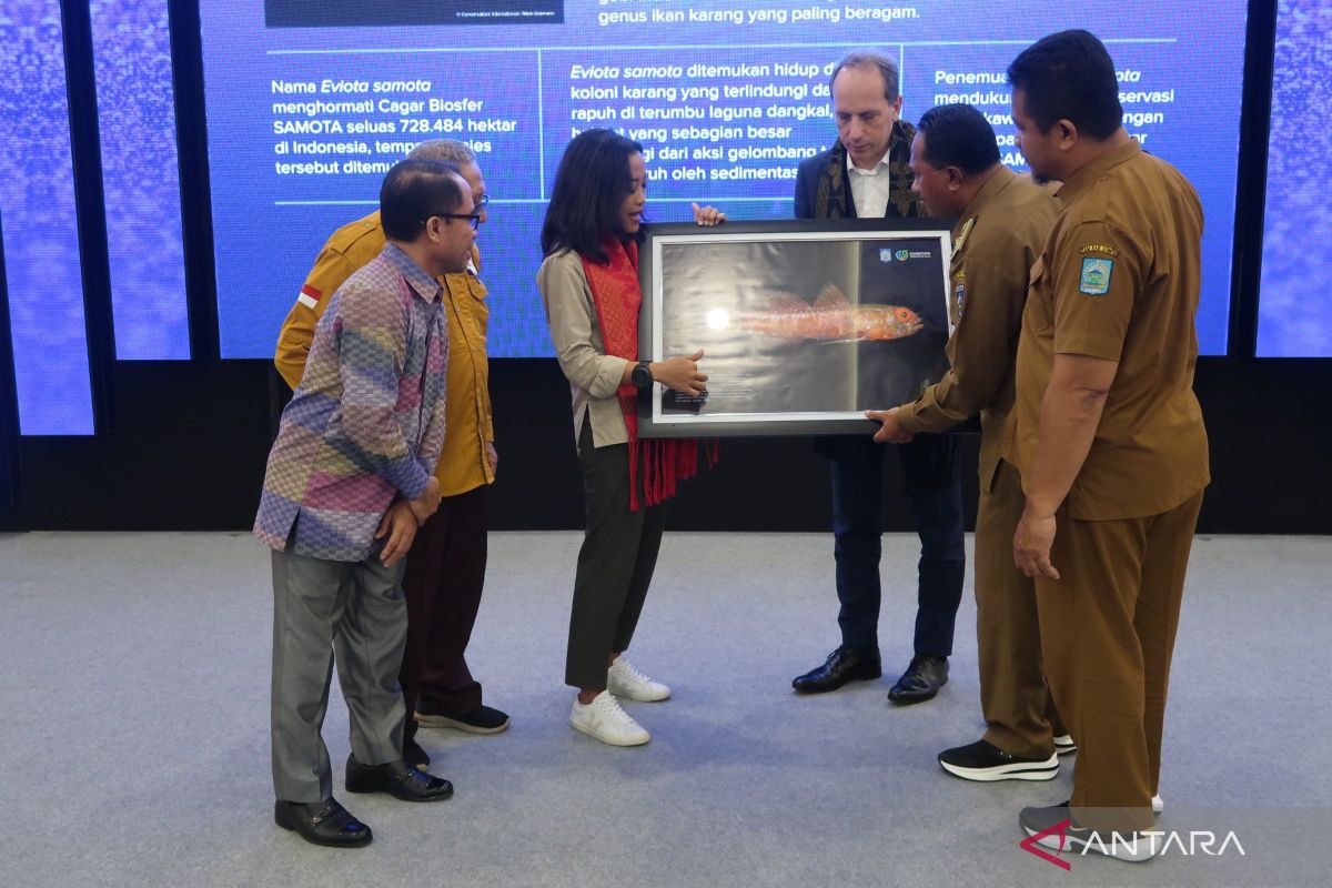 Ilmuwan temukan spesies baru ikan gobi kerdil di Teluk Saleh