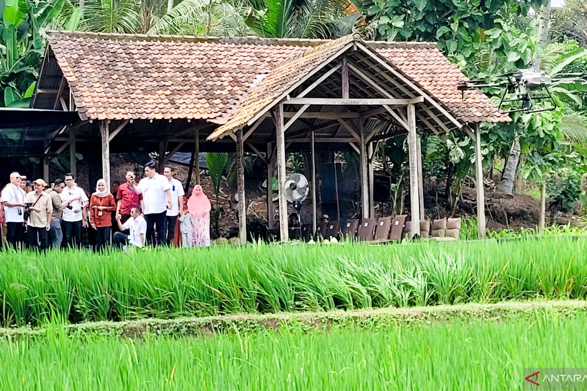 Menko Zulhas minta Banyuwangi berbagi konsep pertanian milenial