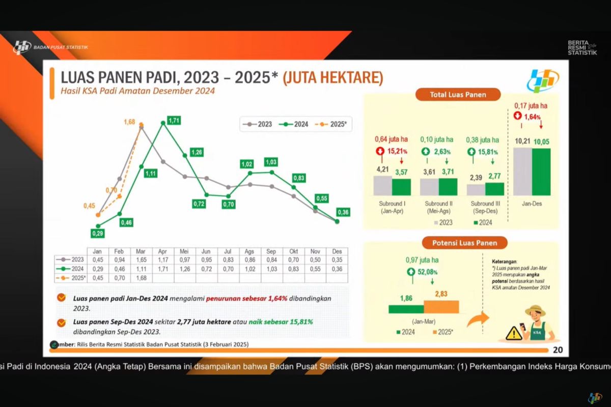 BPS: Luas panen padi mengalami penurunan di sepanjang 2024