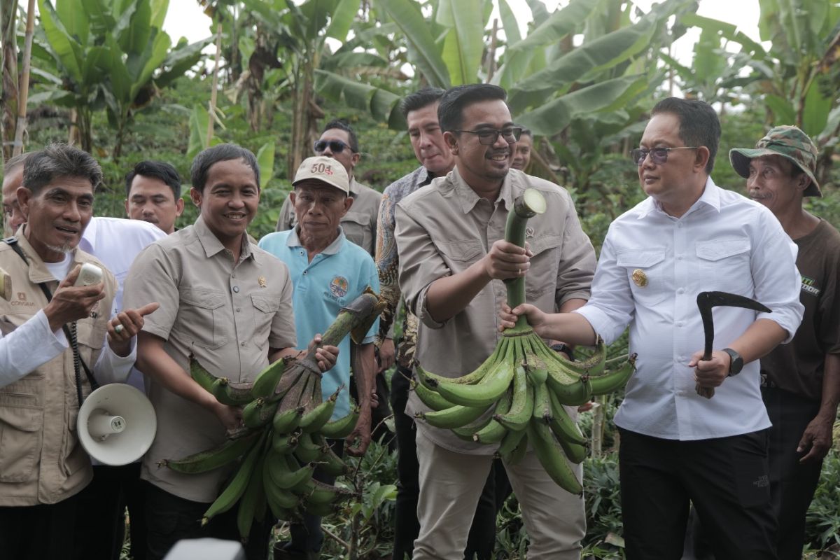 Pj Bupati: Konsep IAD perhutanan sosial Lumajang tarik perhatian dunia