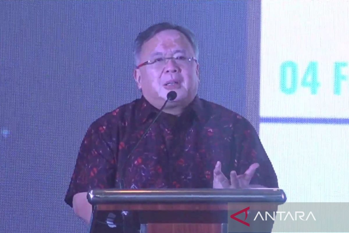 Penasihat presiden berharap investasi lebih agresif dengan Danantara