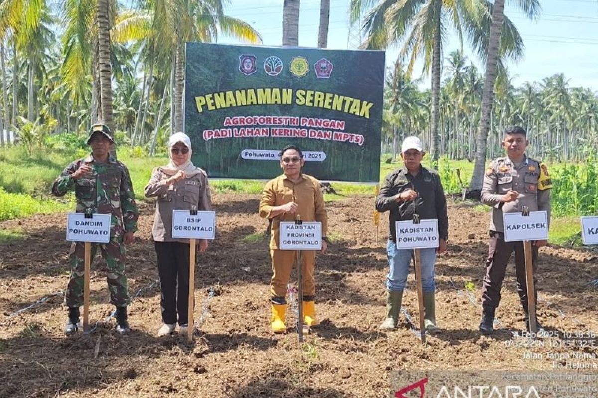 BSIP Gorontalo mendukung agroforestri pangan untuk swasembada