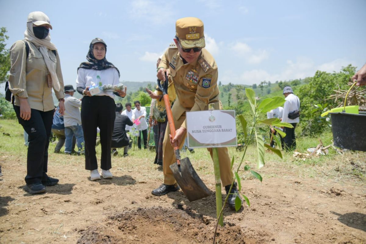 10 hektare kawasan hutan Lombok Tengah untuk wanatani