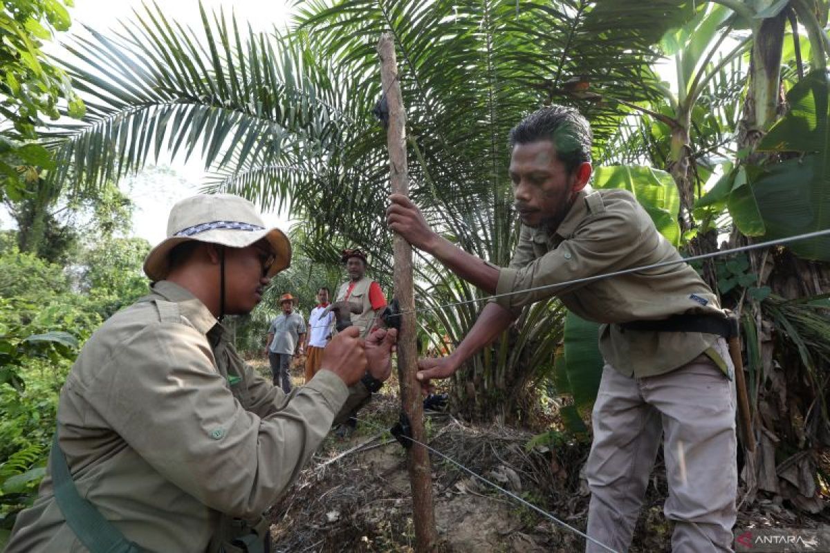 Pagar listrik untuk menghalau gajah liar