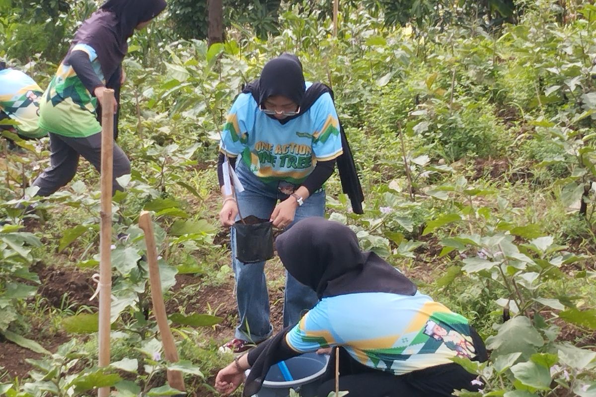 BLDF tanam 2 juta pohon lebih di berbagai daerah 