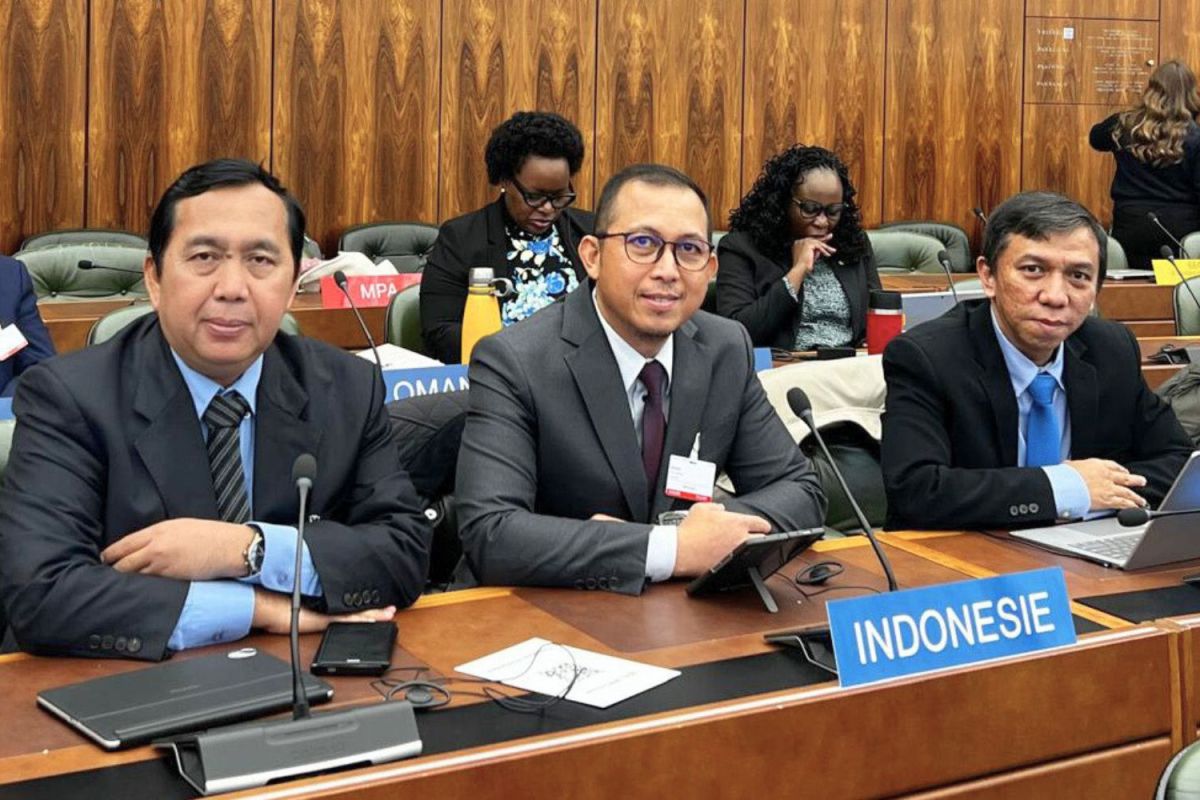 RI bahas strategi peningkatan kesadaran KI pada 17th ACE Meeting WIPO