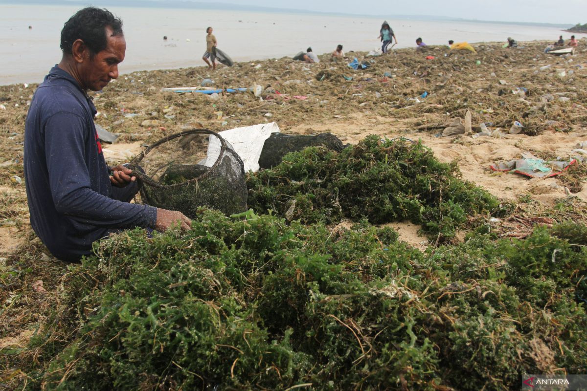 Jumat, mayoritas kota besar Indonesia diguyur hujan ringan-berpetir