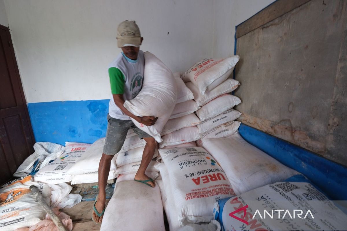 Sultra siapkan 38.129 ton pupuk untuk dukung swasembada pangan