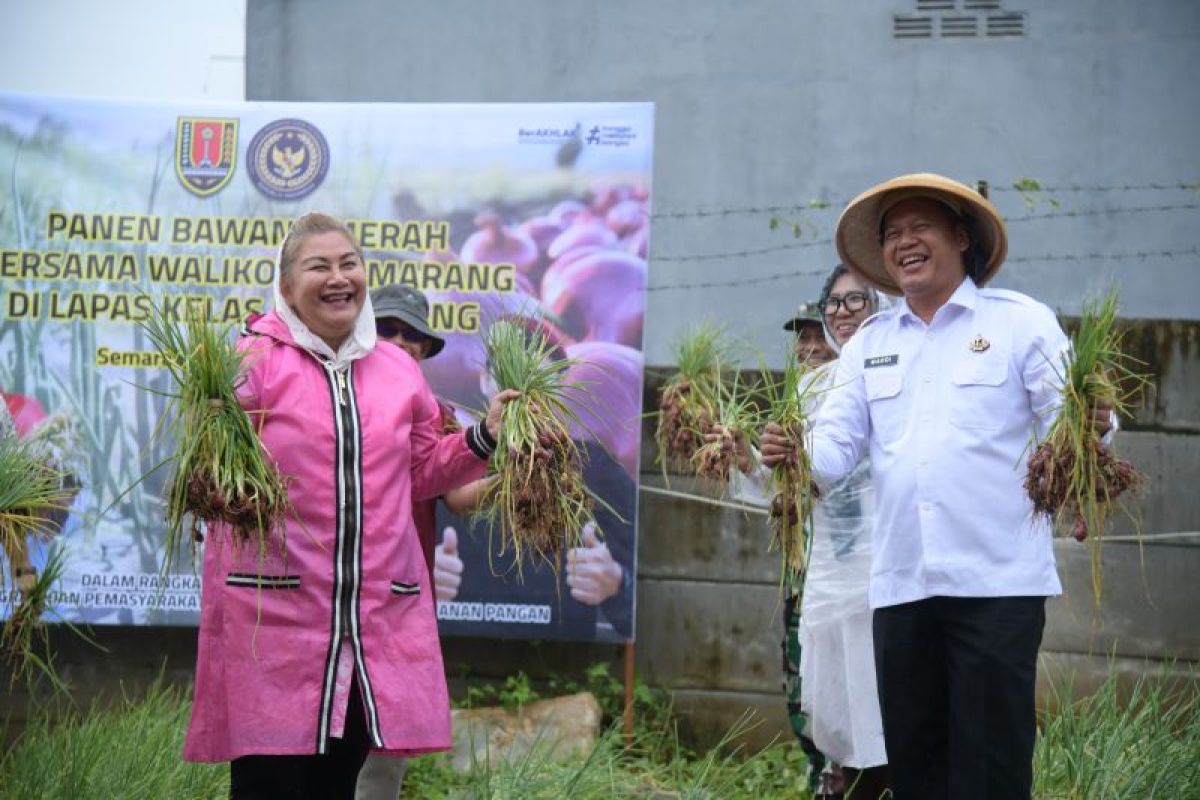 Wali Kota panen bawang bersama warga binaan LP Kedungpane Semarang