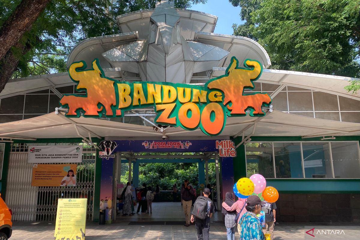 Pemkot pastikan tak ada PHK karyawan usai Bandung Zoo disegel Kejati