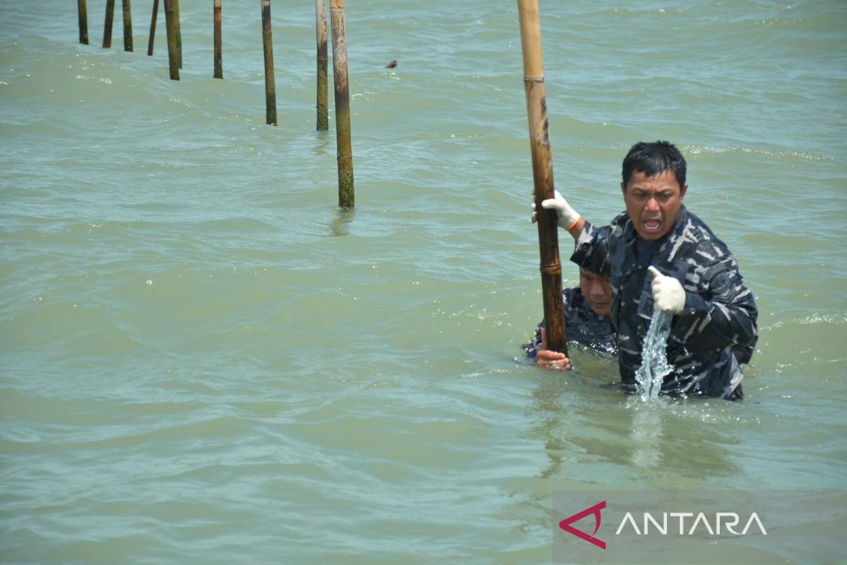 TNI AL bongkar pagar laut sepanjang 22,5 km