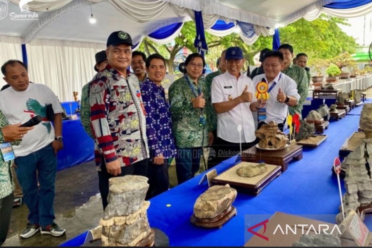 Ratusan bonsai ditampilkan pada pameran Nasional di Samarinda