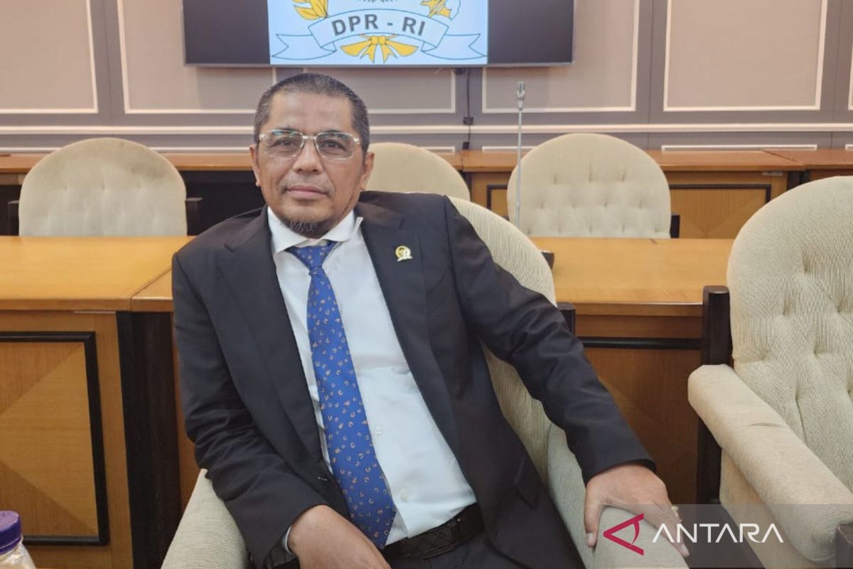 Anggota DPR apresiasi respons cepat Presiden terkait LPG 3 kg