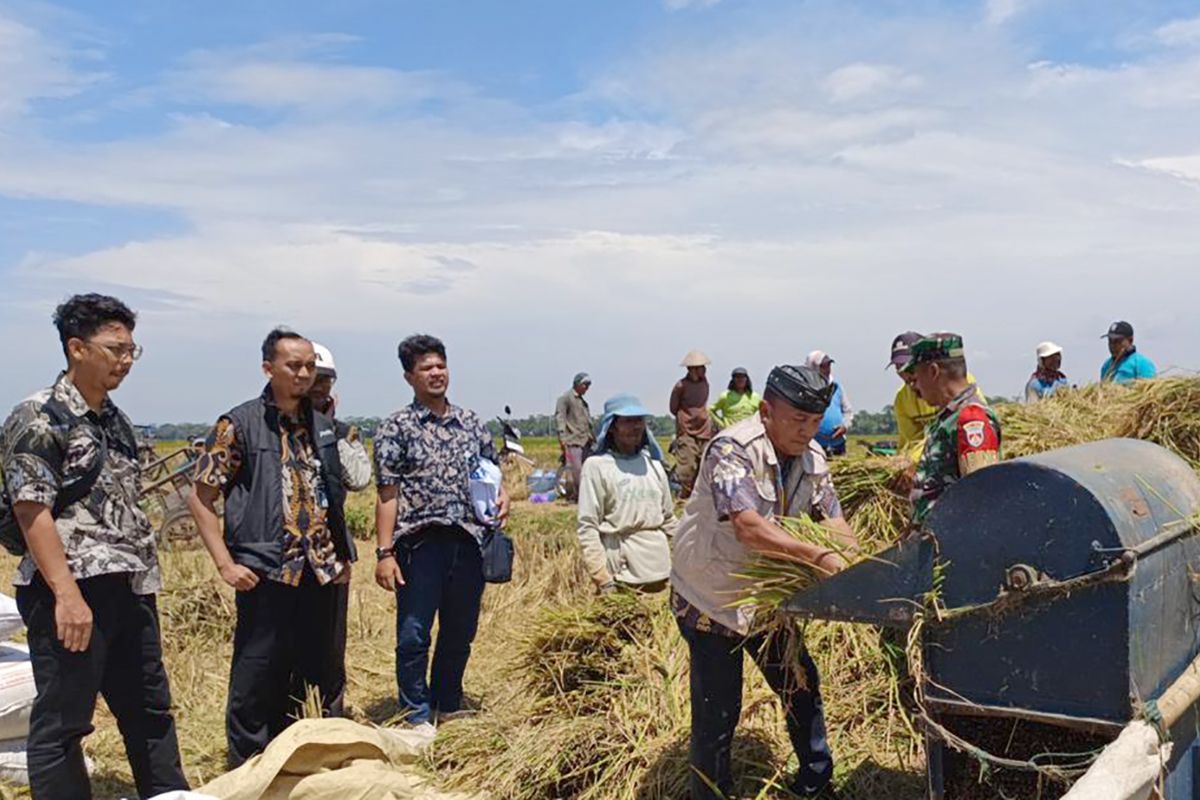 Bulog Banyumas mulai serap gabah hasil panen mengacu HPP terbaru