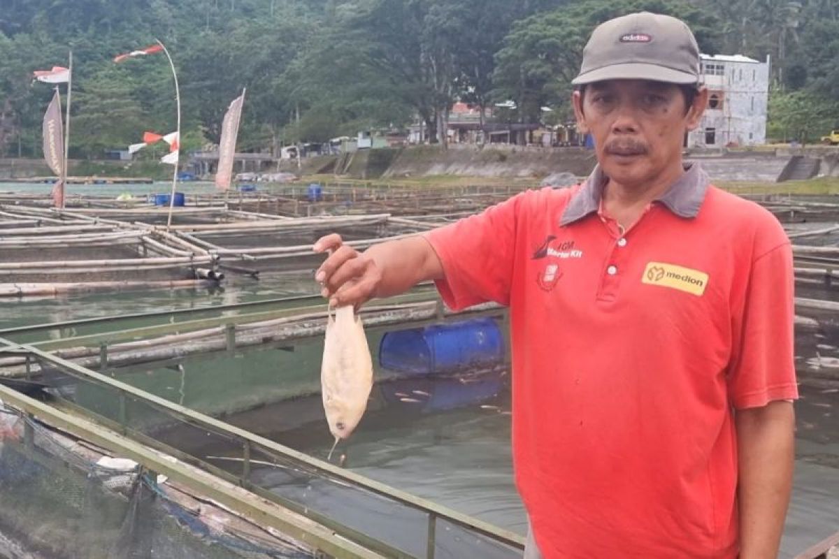 Ribuan ikan keramba di Telaga Ngebel mati mendadak