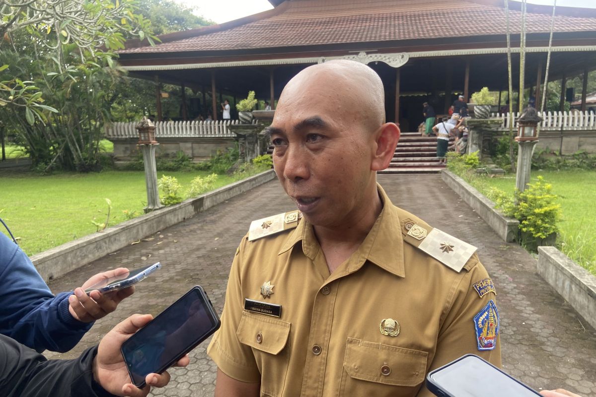 Pemprov Bali turunkan target PAD 2025 buntut opsen pajak