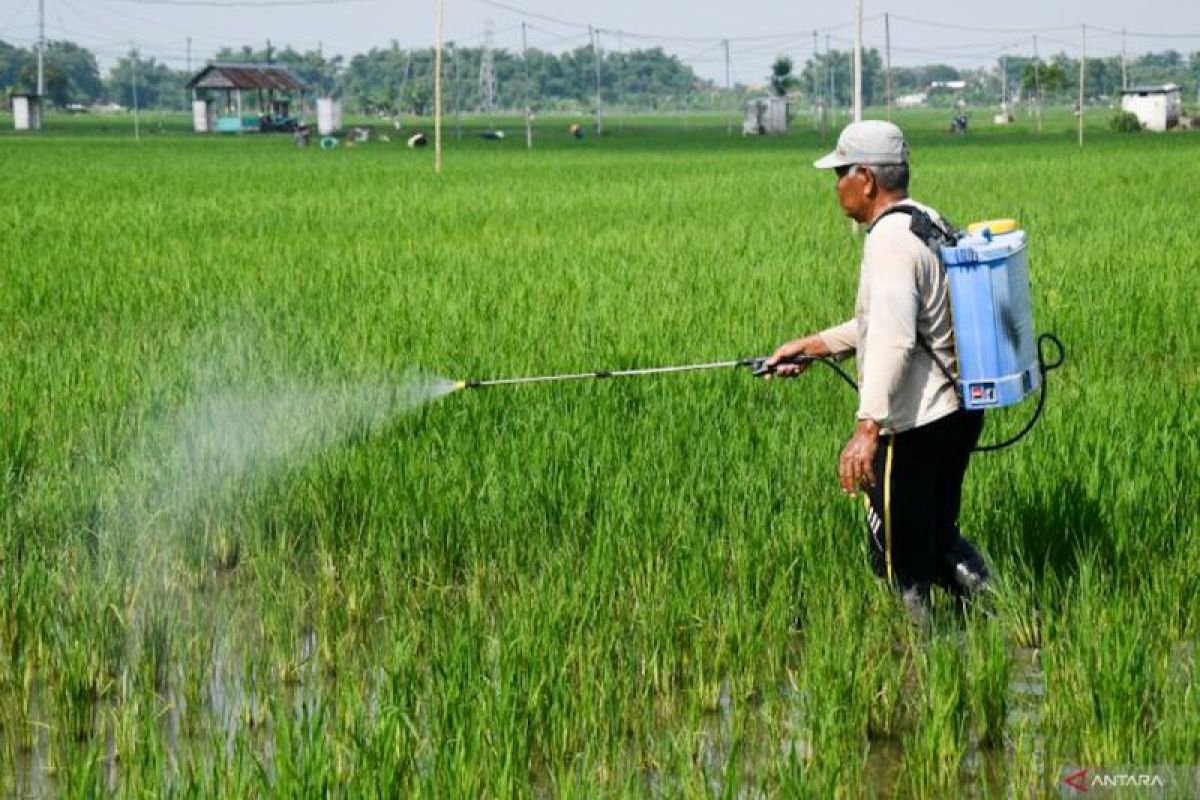 KTNA: Menjaga semangat petani penting untuk produkivitas pertanian