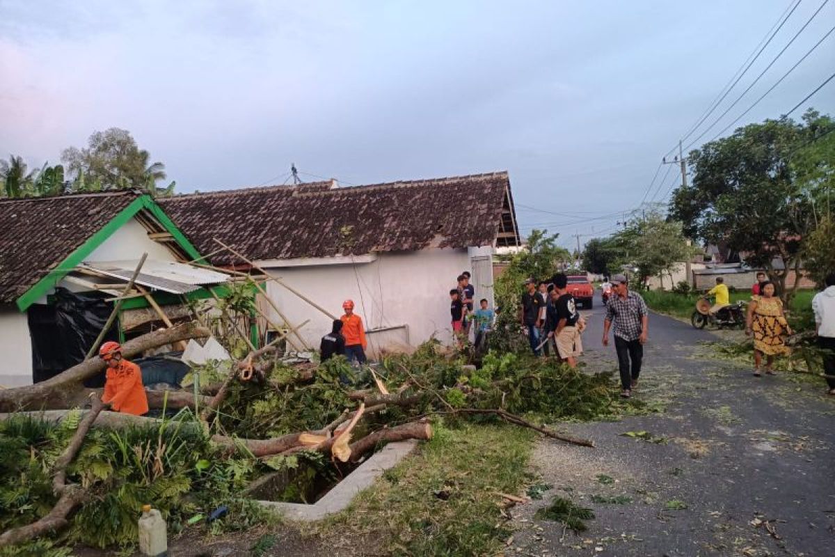 BPBD Lumajang: Angin kencang sebabkan rumah rusak hingga warga terluka