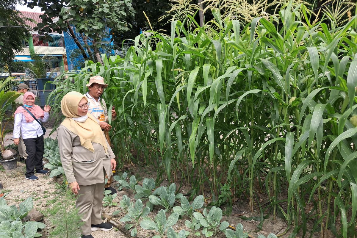 Kepulauan Seribu dampingi petani untuk wujudkan ketahanan pangan