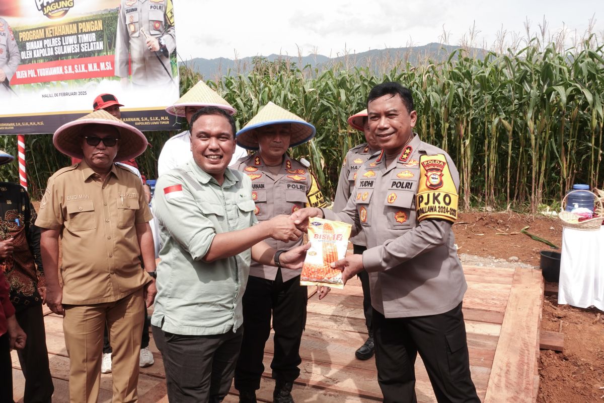 PT Vale salurkan 500 kilogram bibit jagung dukung ketahanan pangan