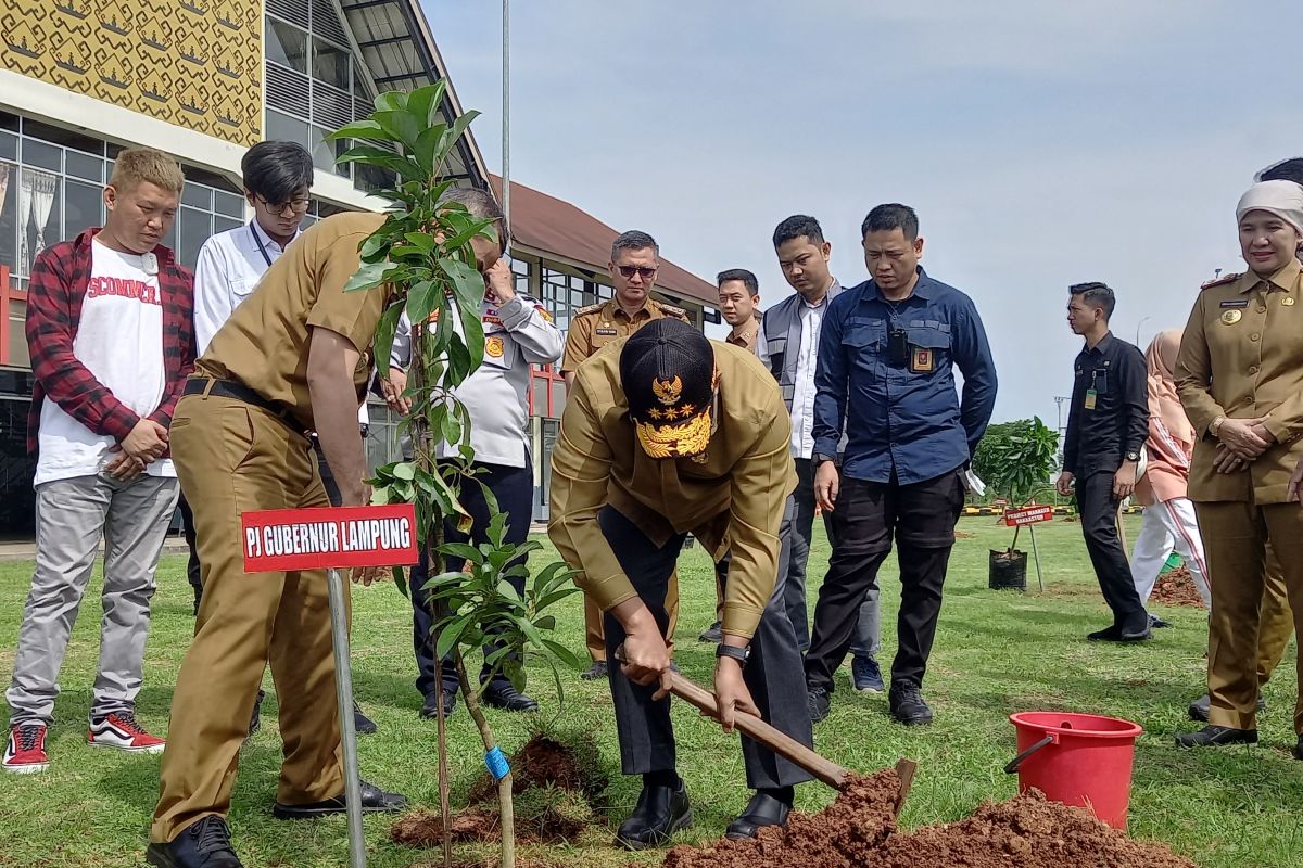 Tol Bakter gandeng Pemprov Lampung tanam ratusan pohon di area tol