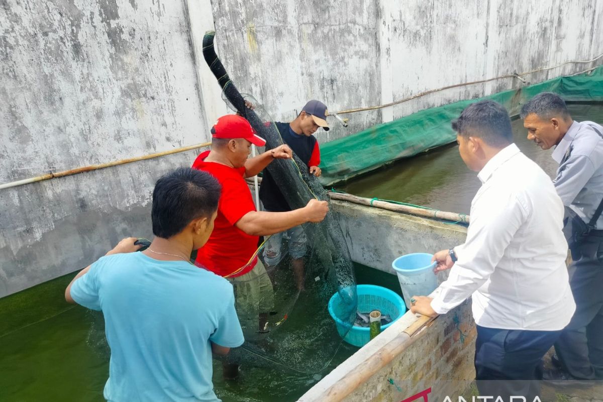 Lapas Martapura Sumsel panen ikan air tawar