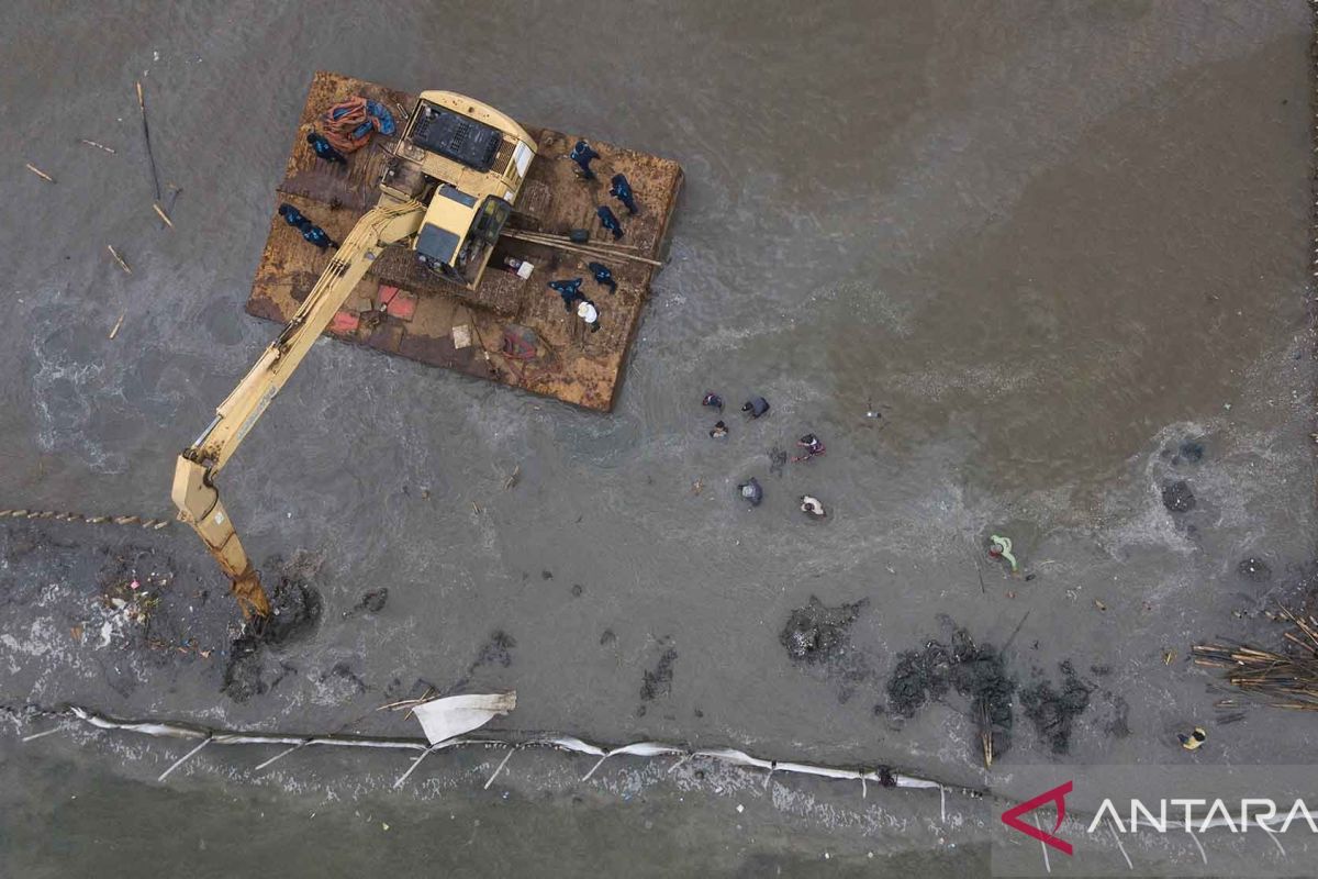 Pembongkaran pagar laut sepanjang 3,3 Km di Pesisir Tarumajaya