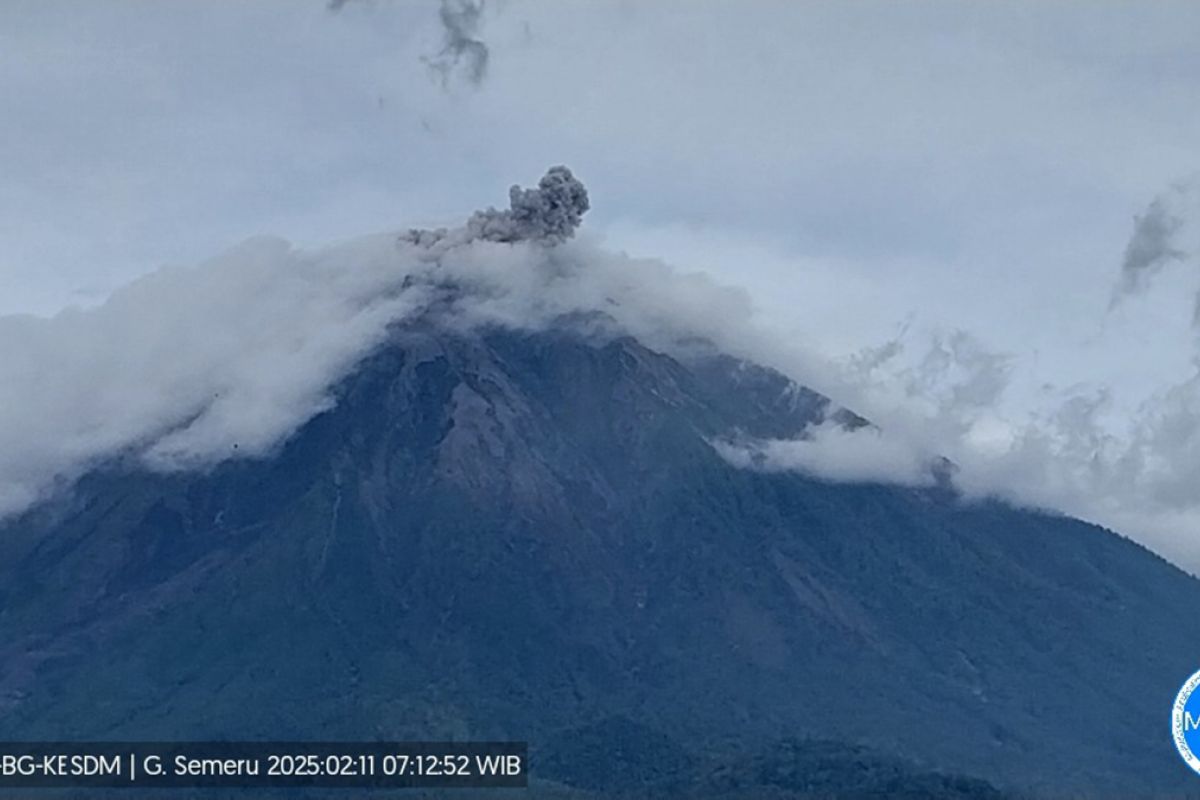 Semeru kembali alami erupsi dengan tinggi letusan 700 meter di atas puncak