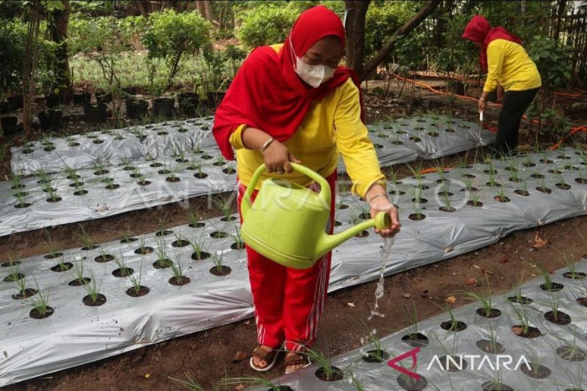 402 desa di Aceh sumbang penurunan 114.000 ton karbon lewat Proklim