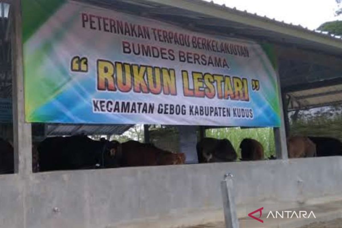 Pemkab Kudus  dukung penggunaan 20 persen dana desa untuk BUMDes