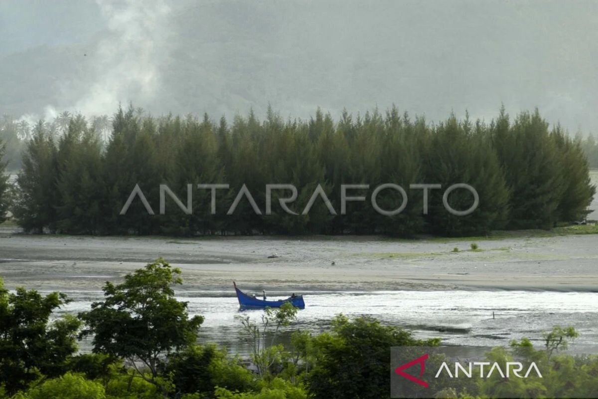 Unpatti gencarkan kajian pengelolaan hutan di pulau kecil