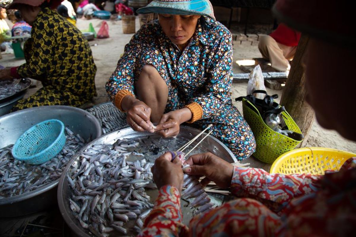 Melestarikan tradisi ikan asap Danau Tonle Sap, Kamboja