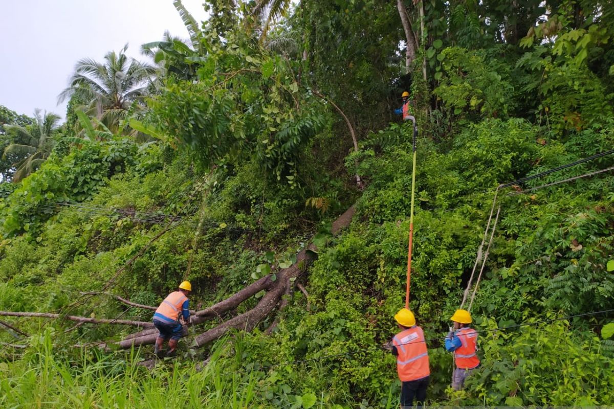 PLN gerak cepat pulihkan kelistrikan Sulawesi Utara dan Gorontalo