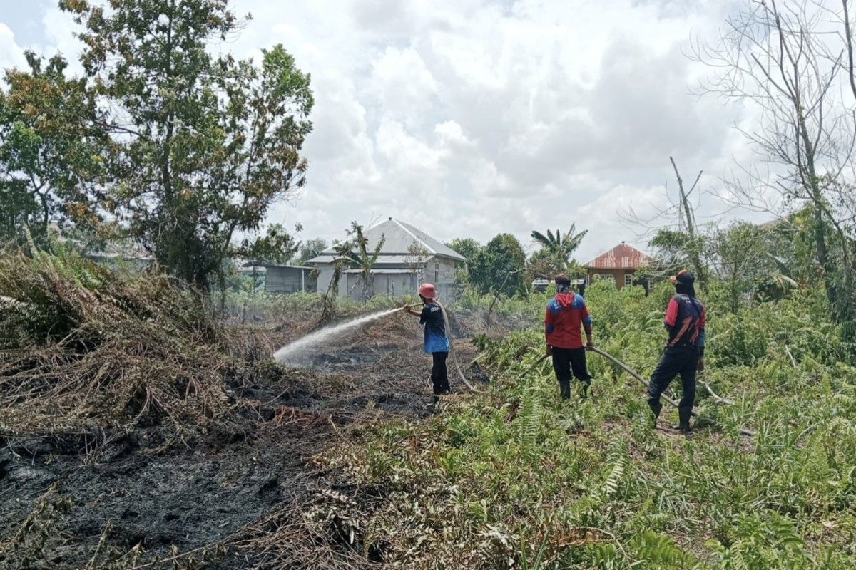 BPBD: Karhutla mulai terjadi di wilayah Kotim