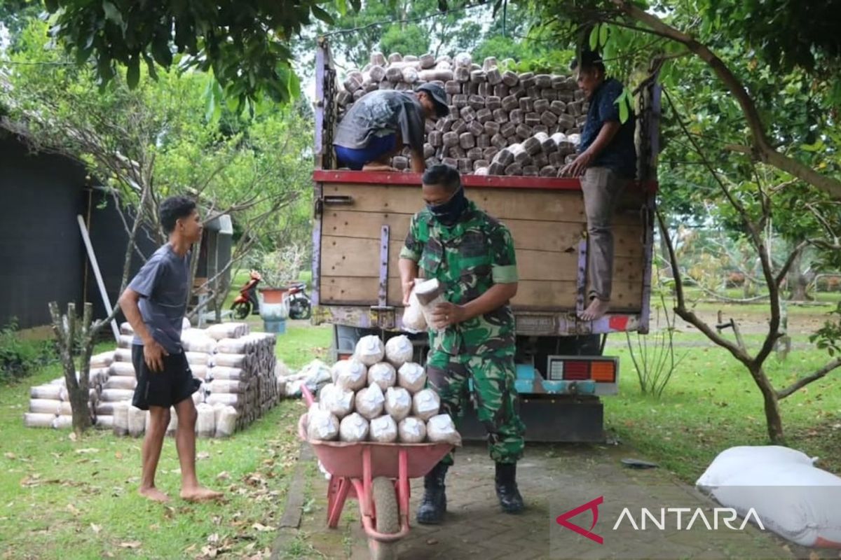 TNI AU perkuat ketahanan pangan di Malang dengan budidaya jamur tiram