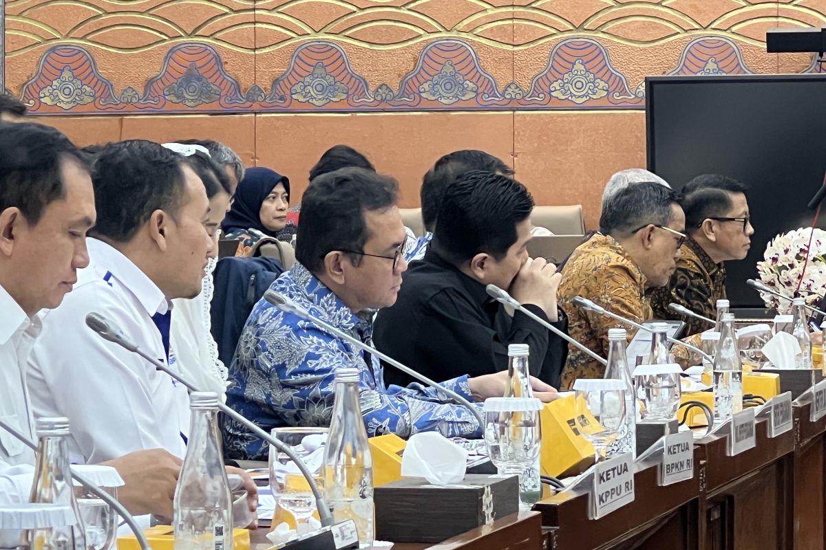 Menteri Erick upayakan efisiensi anggaran tak sebabkan PHK