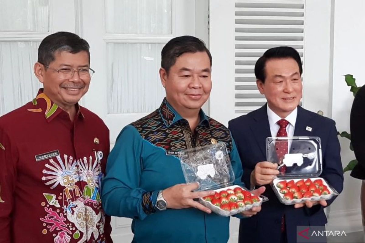 DKI buka kerja sama dengan Korsel melalui festival stroberi