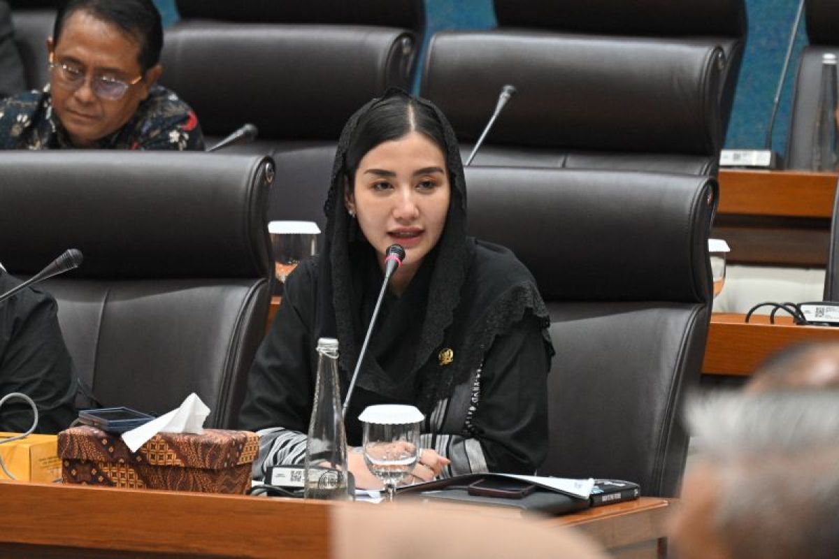 Legislator: Revisi UU Pariwisata perjelas pembagian tugas pusat-daerah