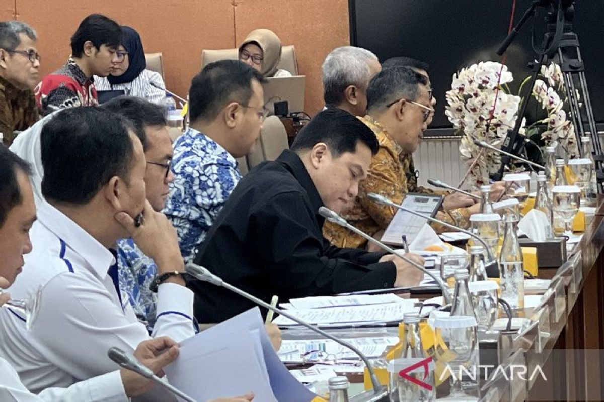 Menteri BUMN yakin target dividen Rp90 triliun dapat terpenuhi