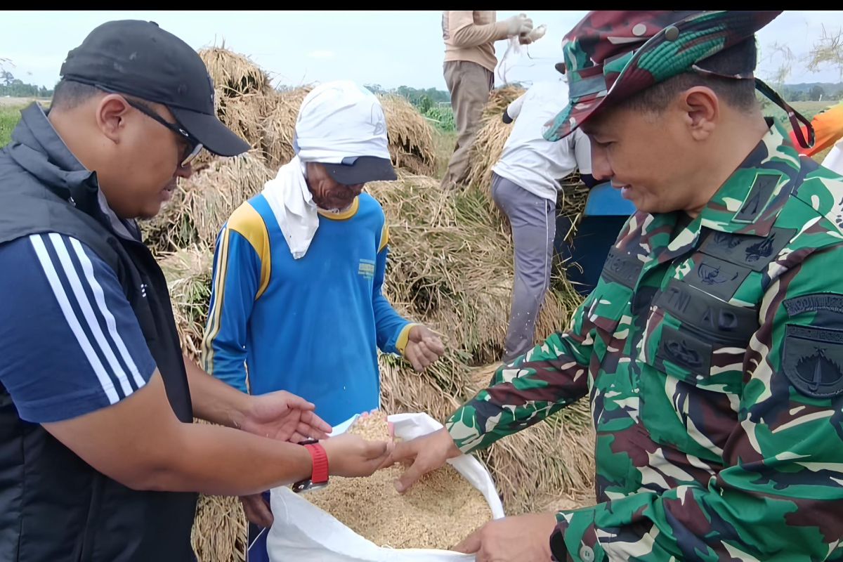 Bulog serap panen perdana petani di Semarang sesuai HPP