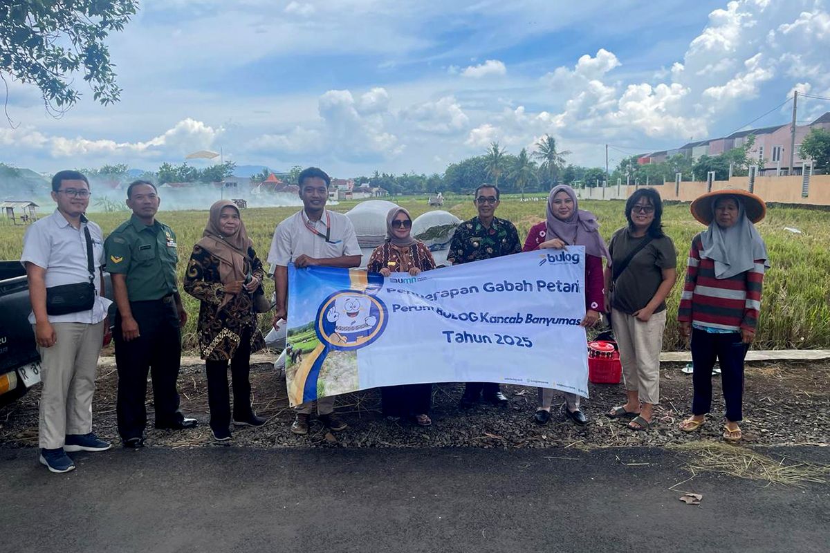 Bulog Banyumas bentuk tim  dukung penyerapan gabah hasil panen petani