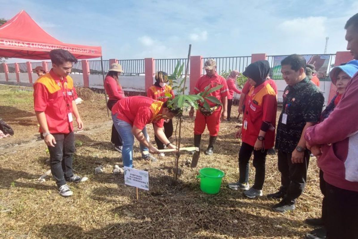 Alfamart tanam matoa wujud komitmen jaga lingkungan di Kota Semarang