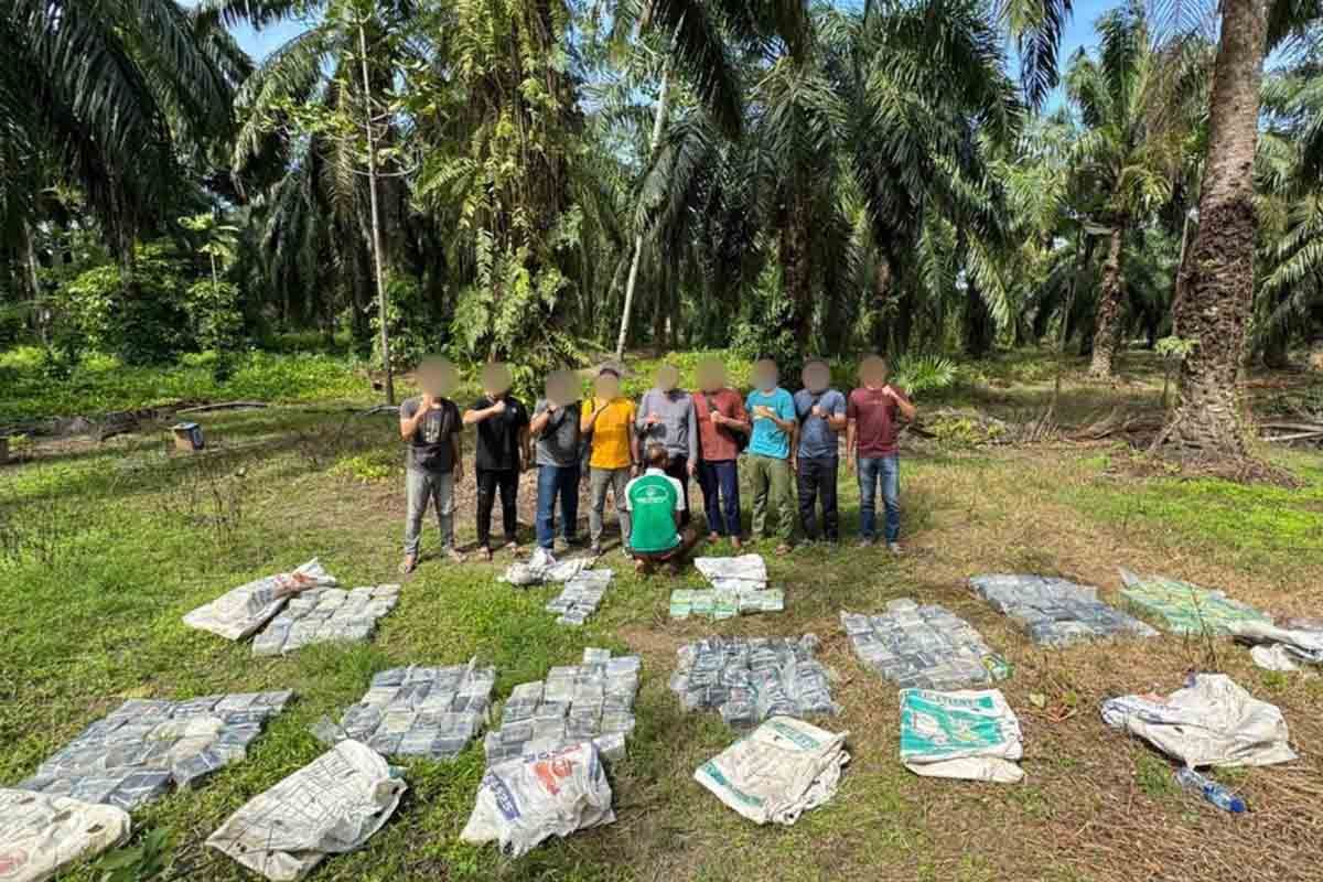 188 kg sabu-sabu disimpan di kebun sawit